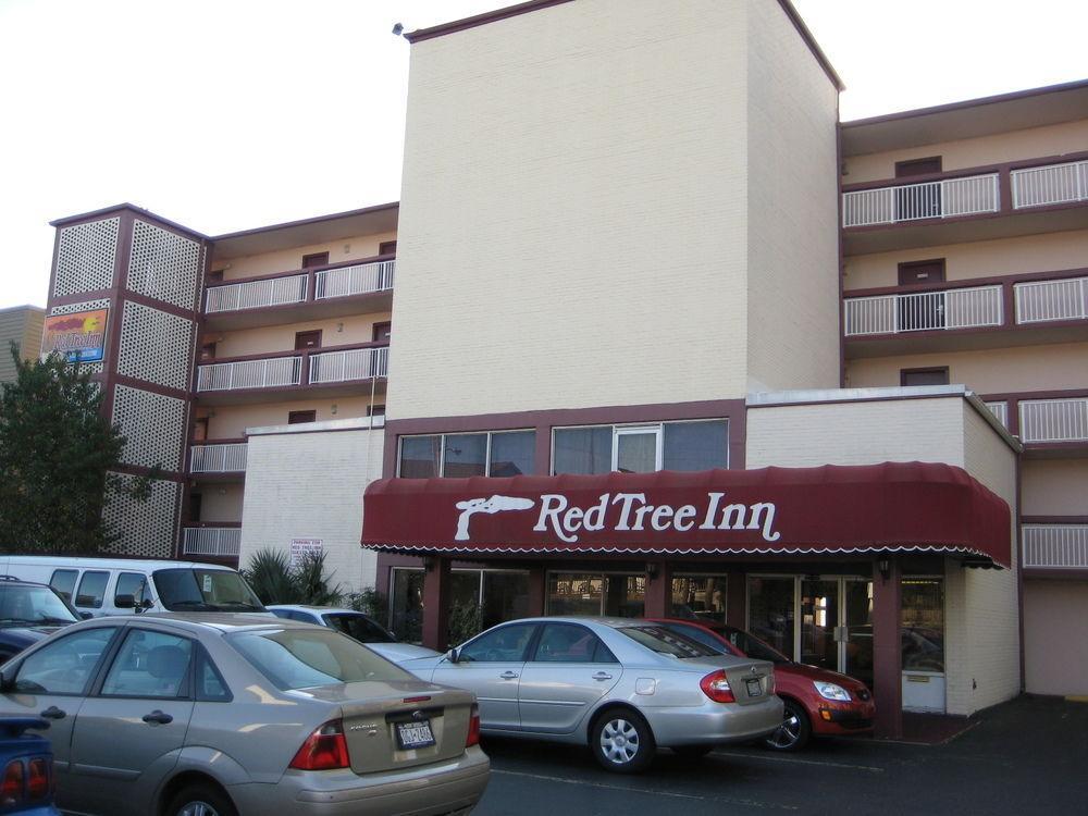 The Red Tree Inn Myrtle Beach Exterior photo